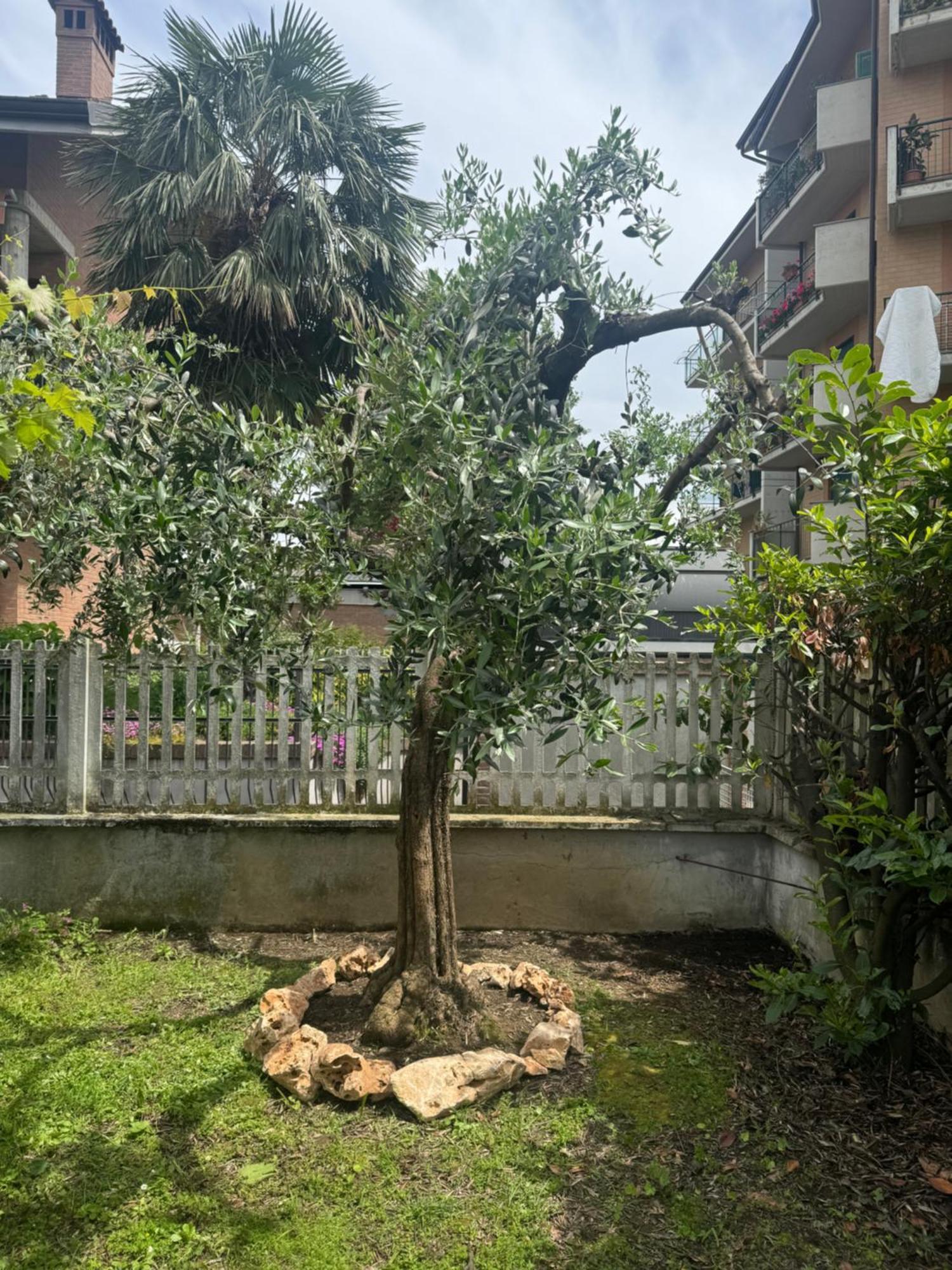 Apartamento L'Ulivo Ciriè Exterior foto